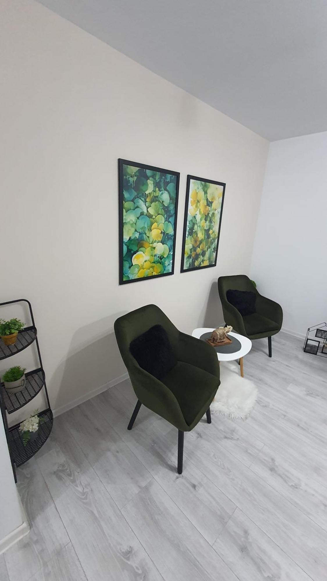 Green Apartment Coresi Braşov Exterior foto